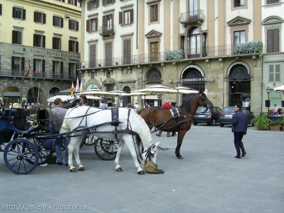 Лошади на площади Синьории