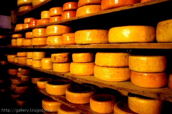 Сырная фабрика