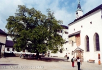 Зальцбург, в замке
