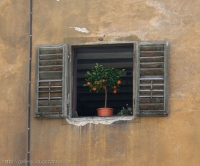 Флорентийские окна 2